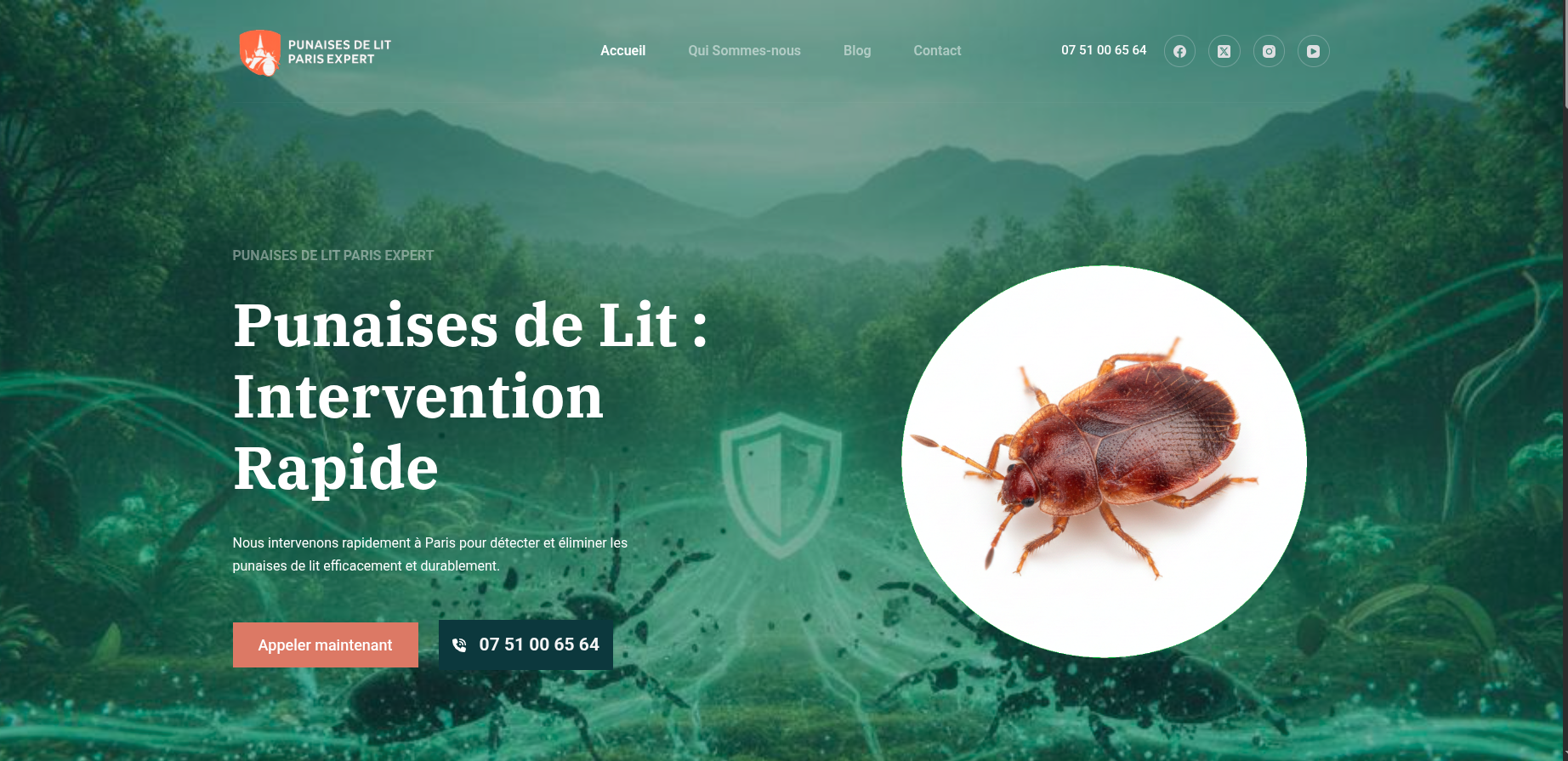 punaises-de-lit-paris-expert